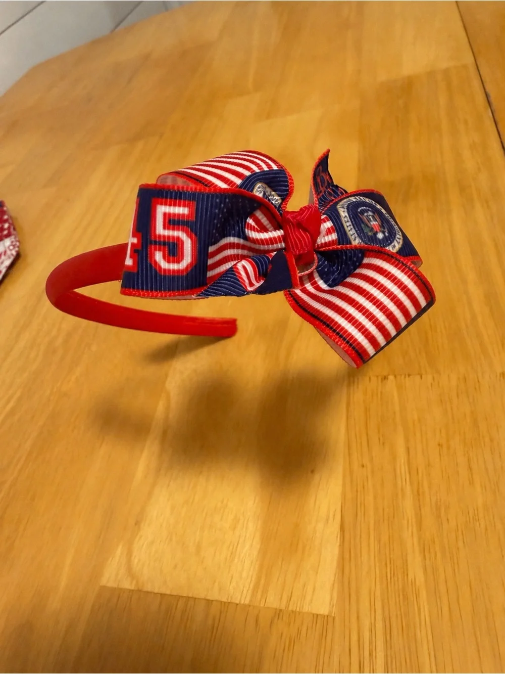 Trump Kids Ribbon Hair Bow and Headband Set